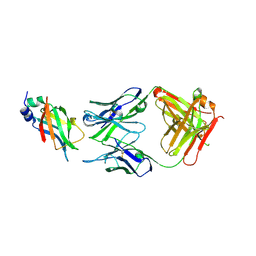 BU of 8dcn by Molmil