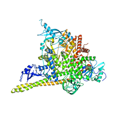 BU of 8dcp by Molmil