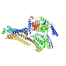 BU of 8dcr by Molmil