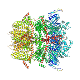 BU of 8ddr by Molmil