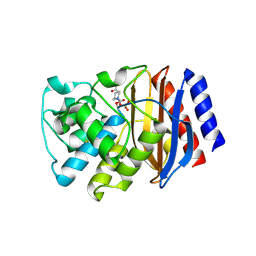 BU of 8de2 by Molmil