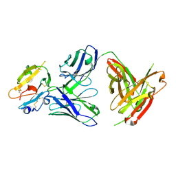 BU of 8dfi by Molmil