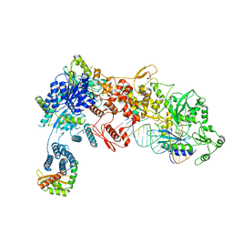 BU of 8dga by Molmil