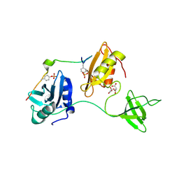 BU of 8dgq by Molmil