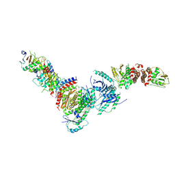 BU of 8dhb by Molmil