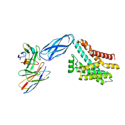 BU of 8dki by Molmil