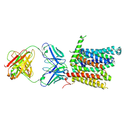 BU of 8dl8 by Molmil