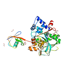 BU of 8dmq by Molmil