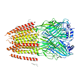 BU of 8dn2 by Molmil