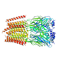 BU of 8dn4 by Molmil