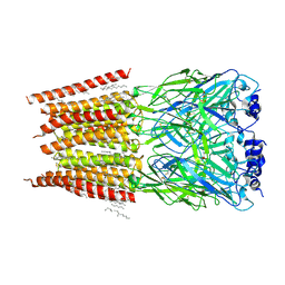 BU of 8dn5 by Molmil