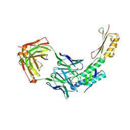 BU of 8dn6 by Molmil