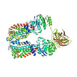 BU of 8dn8 by Molmil