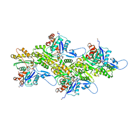 BU of 8dnh by Molmil