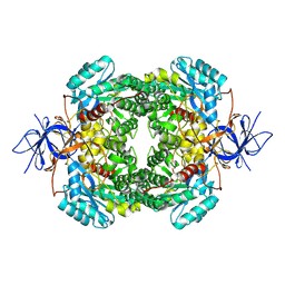 BU of 8dnm by Molmil