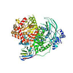 BU of 8dp0 by Molmil