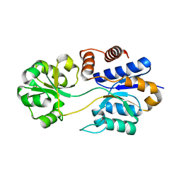 BU of 8dp6 by Molmil