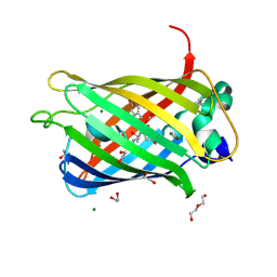 BU of 8dpd by Molmil