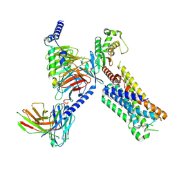 BU of 8dpf by Molmil