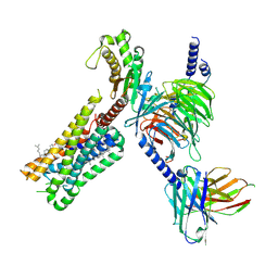 BU of 8dph by Molmil