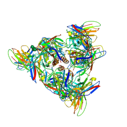 BU of 8dpm by Molmil