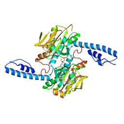 BU of 8dqi by Molmil