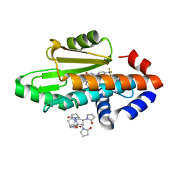 BU of 8dqs by Molmil