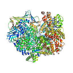 BU of 8dr1 by Molmil