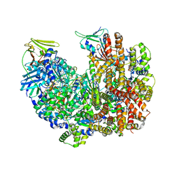 BU of 8dr4 by Molmil