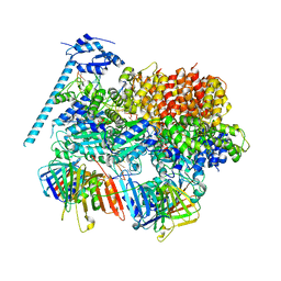 BU of 8dr5 by Molmil