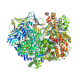 BU of 8dr6 by Molmil