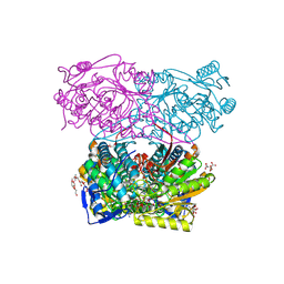 BU of 8dr9 by Molmil