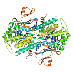 BU of 8dsd by Molmil