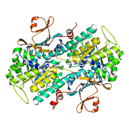 BU of 8dsi by Molmil