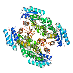 BU of 8dt1 by Molmil