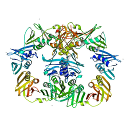 BU of 8dt6 by Molmil