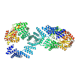 BU of 8dtg by Molmil