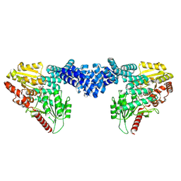 BU of 8dti by Molmil