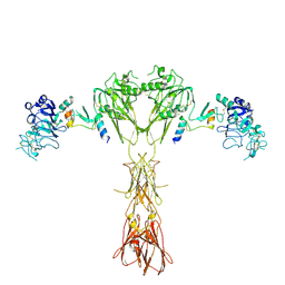 BU of 8dtl by Molmil