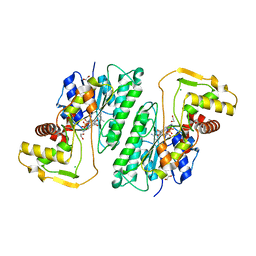 BU of 8du1 by Molmil