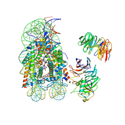 BU of 8du4 by Molmil