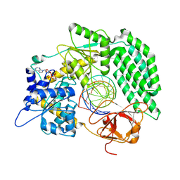 BU of 8dvs by Molmil