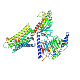 BU of 8dwh by Molmil