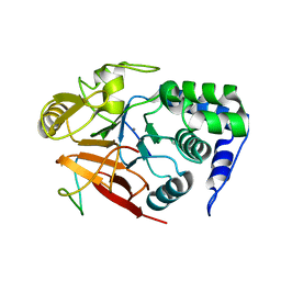 BU of 8dwk by Molmil