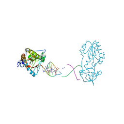 BU of 8dwm by Molmil