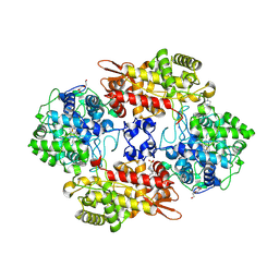 BU of 8dwr by Molmil