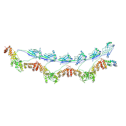 BU of 8dws by Molmil