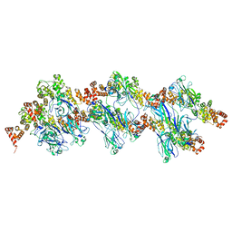 BU of 8dwt by Molmil