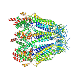 BU of 8dxp by Molmil