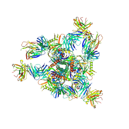 BU of 8e1p by Molmil